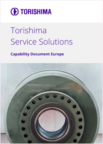 Capability Document (Service Solutions)
