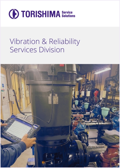 Capability Document (Service Solutions)