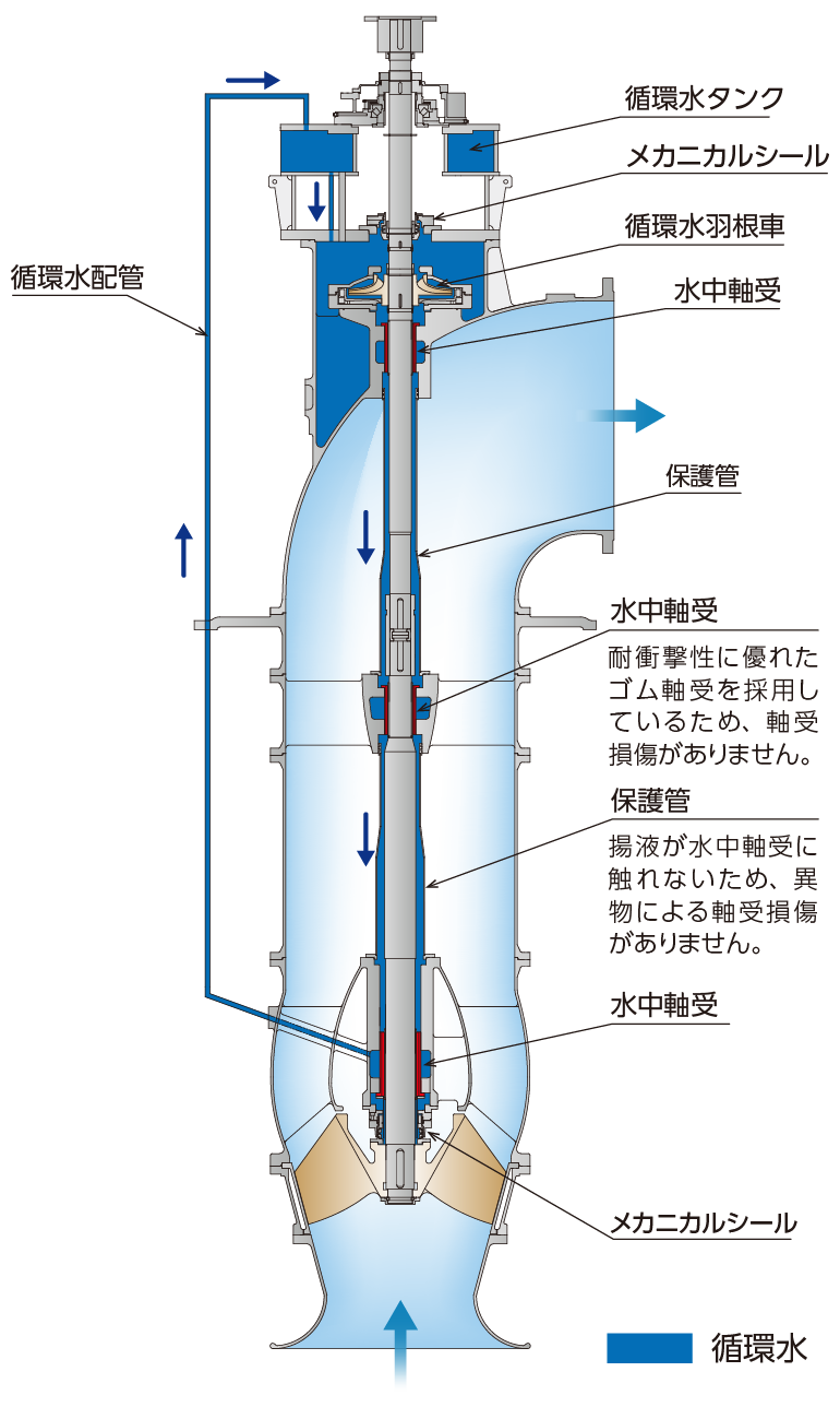 ポンプの断面図