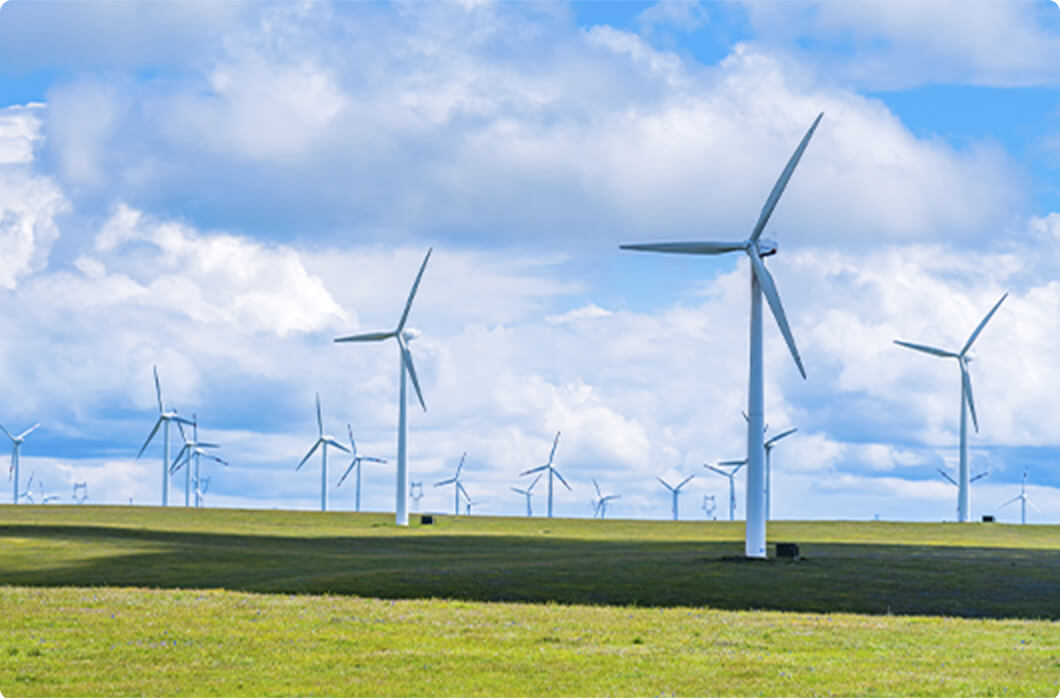 Point 06 Invest in wind power business