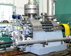 Horizontal multistage ring section pump