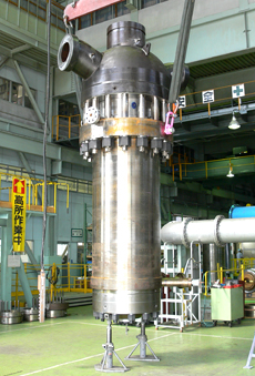 Boiler circulation pump for power plant